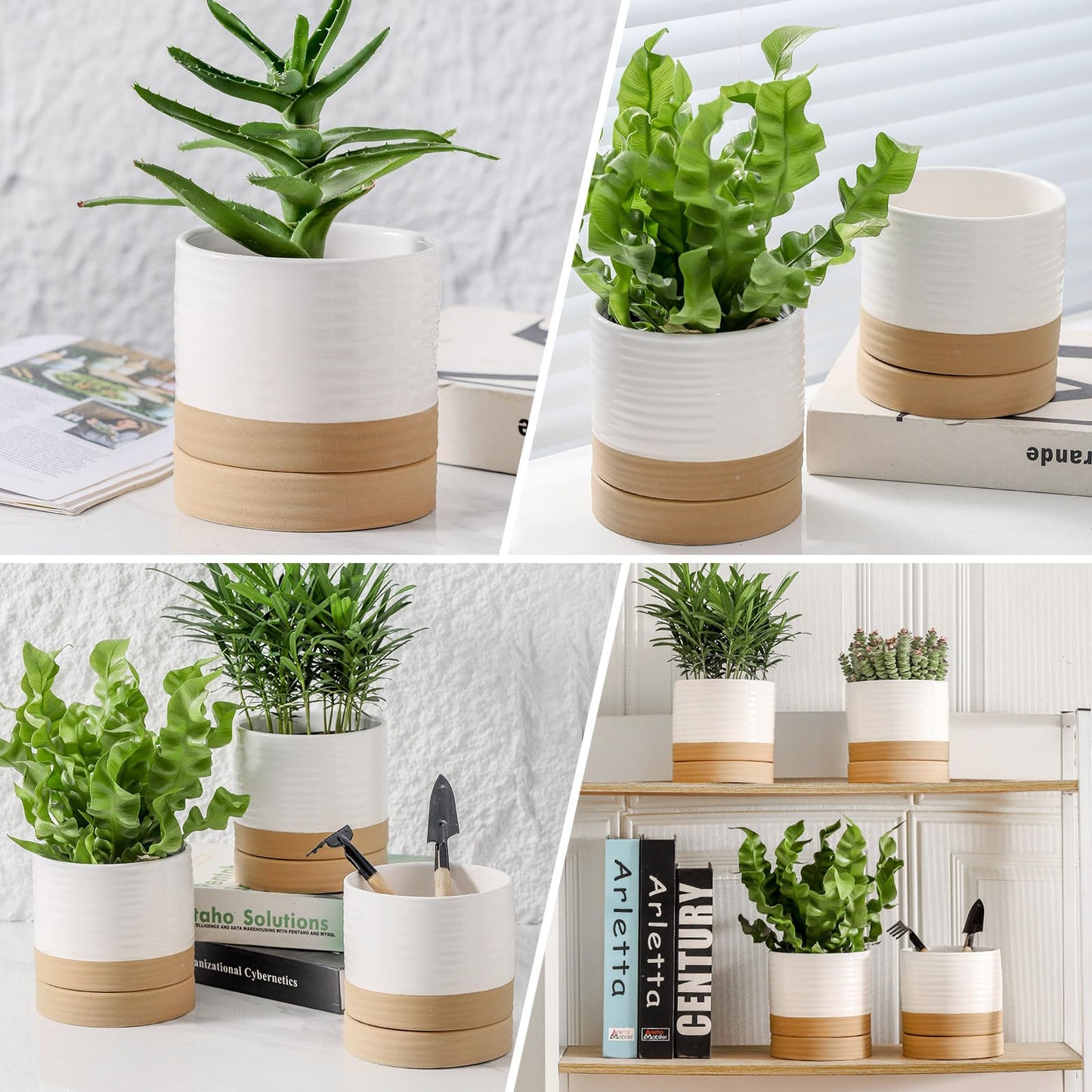 HASENSE Ceramic Plant Pots with Saucers Set of 4, 4.6 Inch Planters for Indoor Plants with Drainage Holes,Two-Tone White Flower Pots for Succulents, Snake Plants & Cactus, Farmhouse Desktop Decor