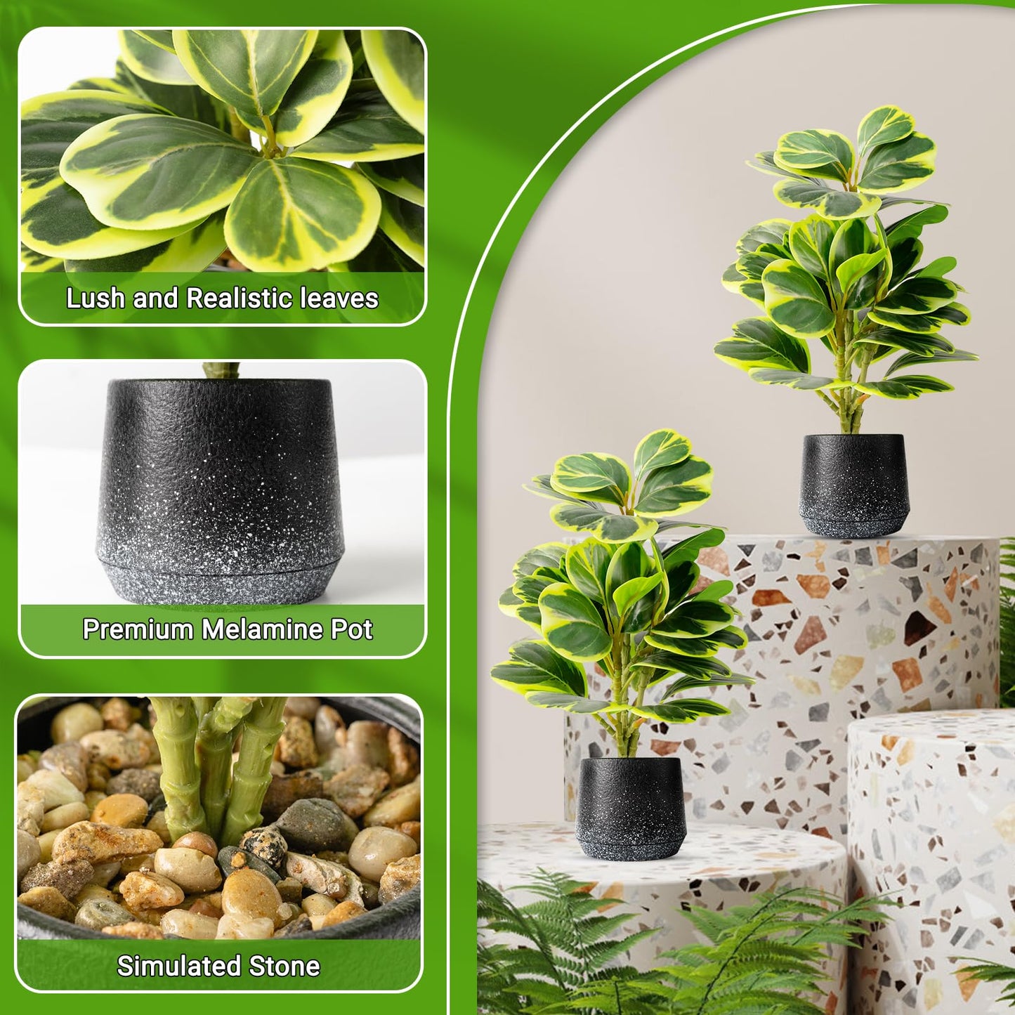 WOHSEROM 2 Pack Realistic Artificial Potted Plants Peperomia Obtusifolia, 11" Small Faux Greenery for Desk, Bathroom, Office, or Home Decor (Evergreen, Maintenance Free)