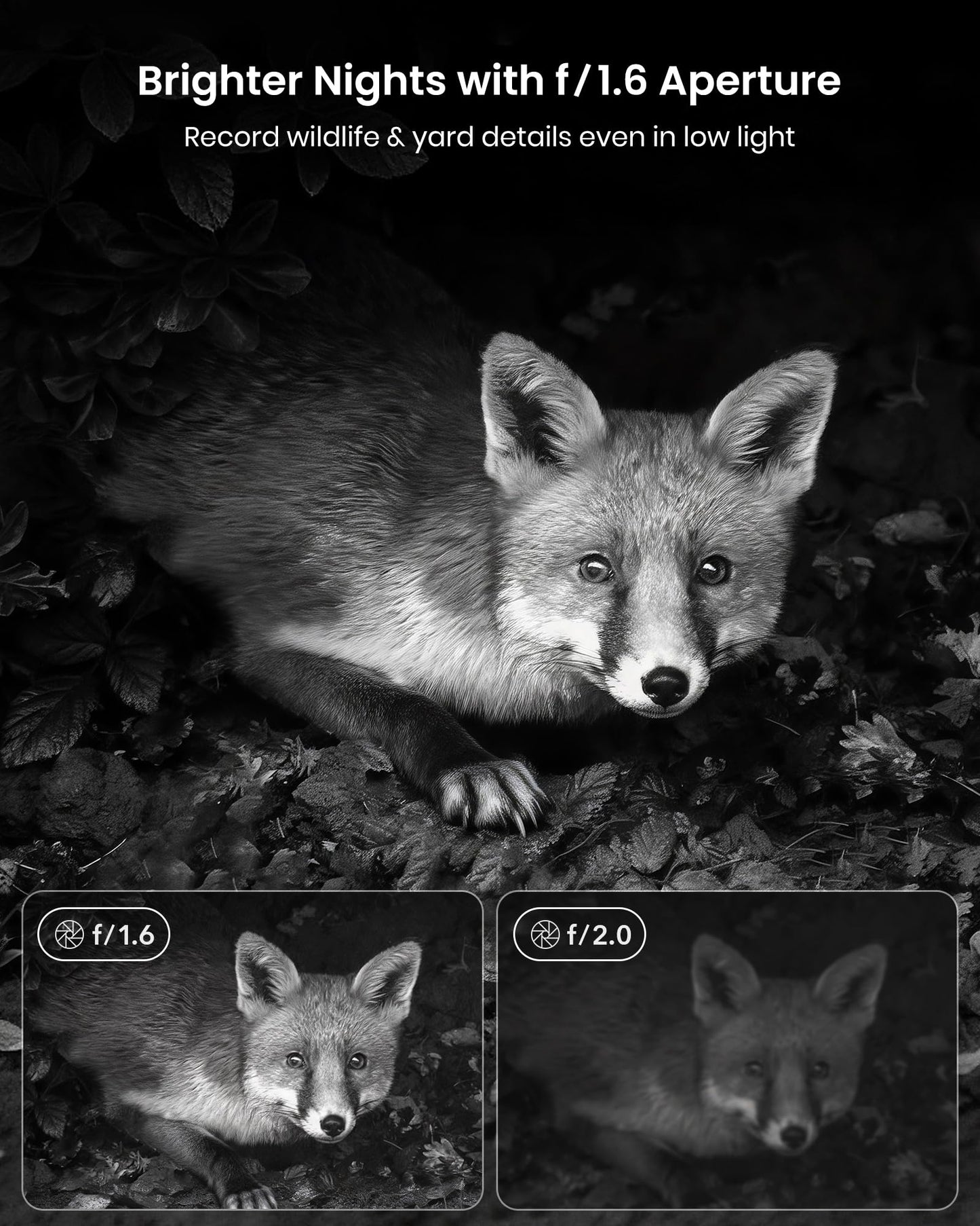 Misstech 4K UHD Solar Trail Camera, Outdoor Wildlife Cameras for Yard Monitoring, 0.1s Fast Motion-Activated to Record, 64MP/4K Clear Night Vision, No Monthly Fee, App Control, IP66, Local Storage