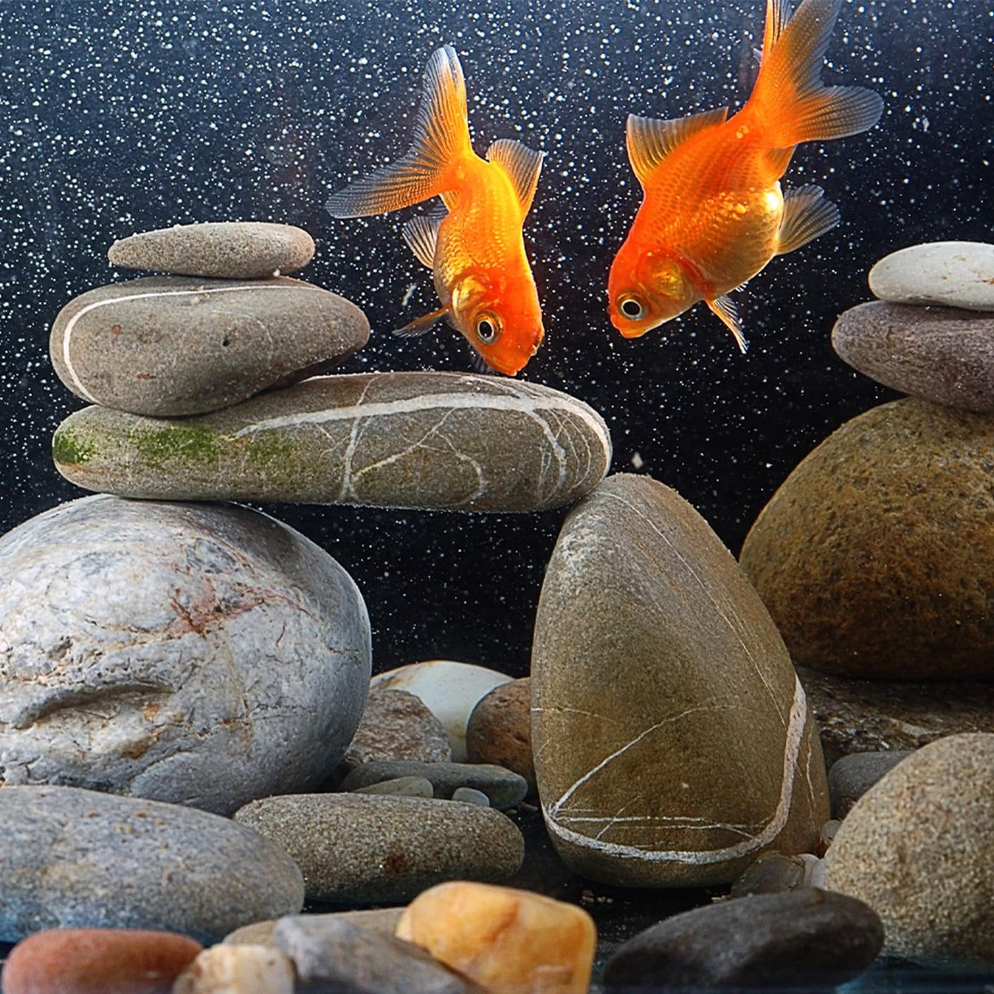 Pulovin 20 lbs River Rocks for Landscaping, 2"-3" Garden Rocks Outdoor Landscaping, Decorative Patio Stones for Planters, Flower Pots, Vase, Walkways, Yard, Natural Rocks for Aquarium, Fish Tank
