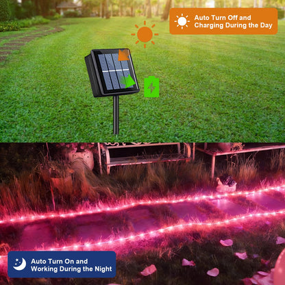 QITONG Pink Solar Rope Lights Outdoor, 2 Pack Each 33ft 100 LED String Light, 8 Modes Fairy Lights in Clear Thin Tube with 8 Modes