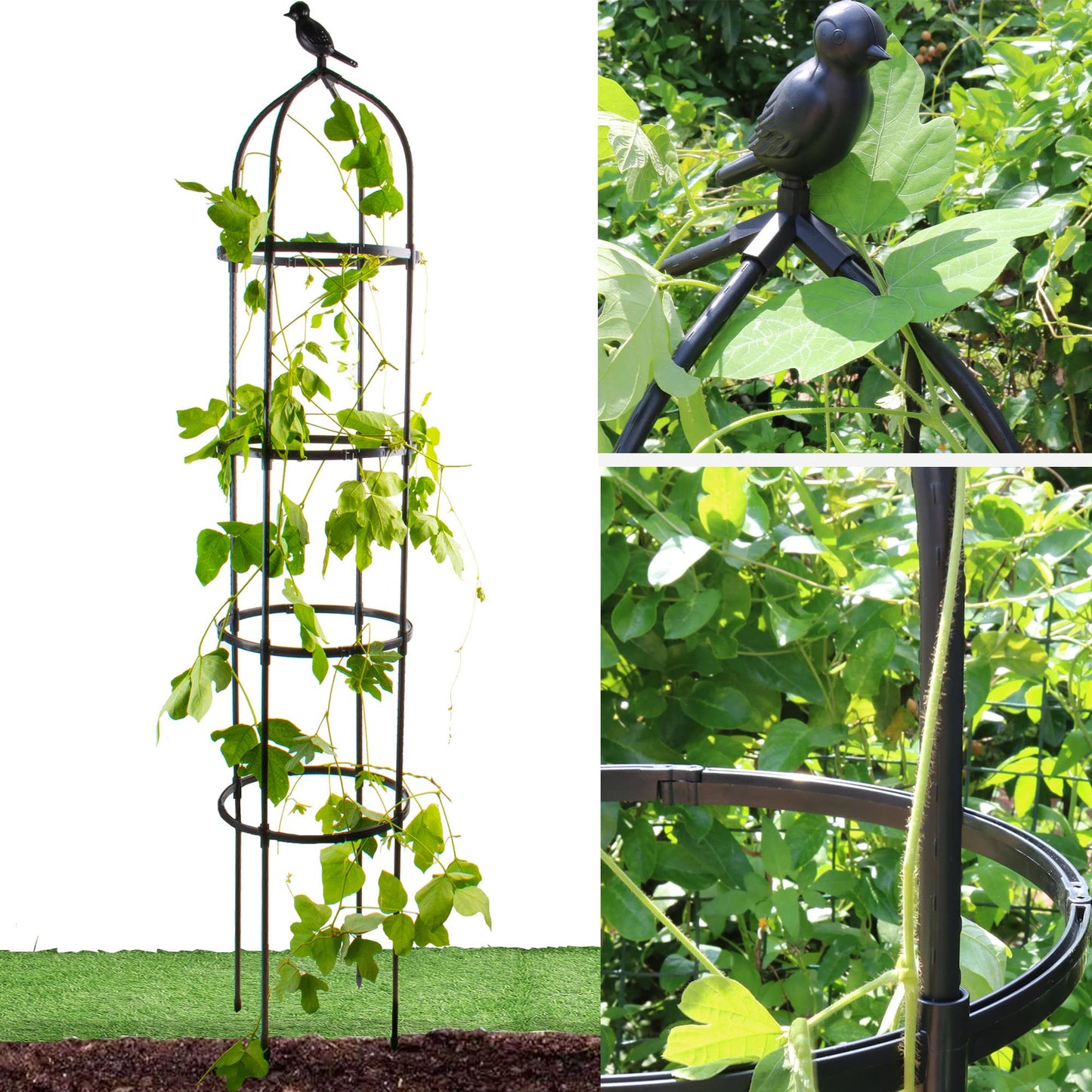 Garden Trellis for Climbing Plants, Rustproof Metal Pipe with Heavy Duty 6ft, Garden Outdoor Indoor Potted Plant Support（Black）