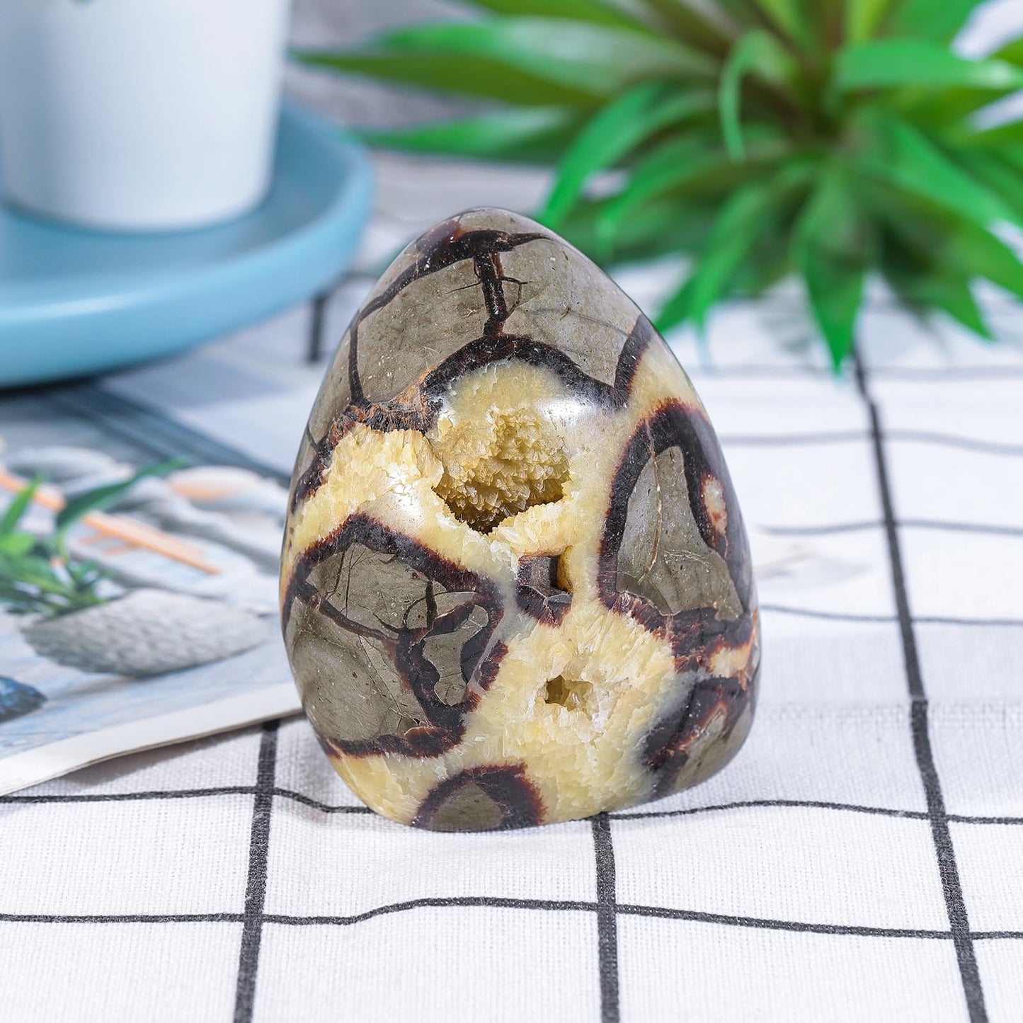 Sportmusies Natural Septarian Dragon Stone Geode Mineral Specimen Decoration for Reiki Home Office Desk, 3.07-4.52 Inches