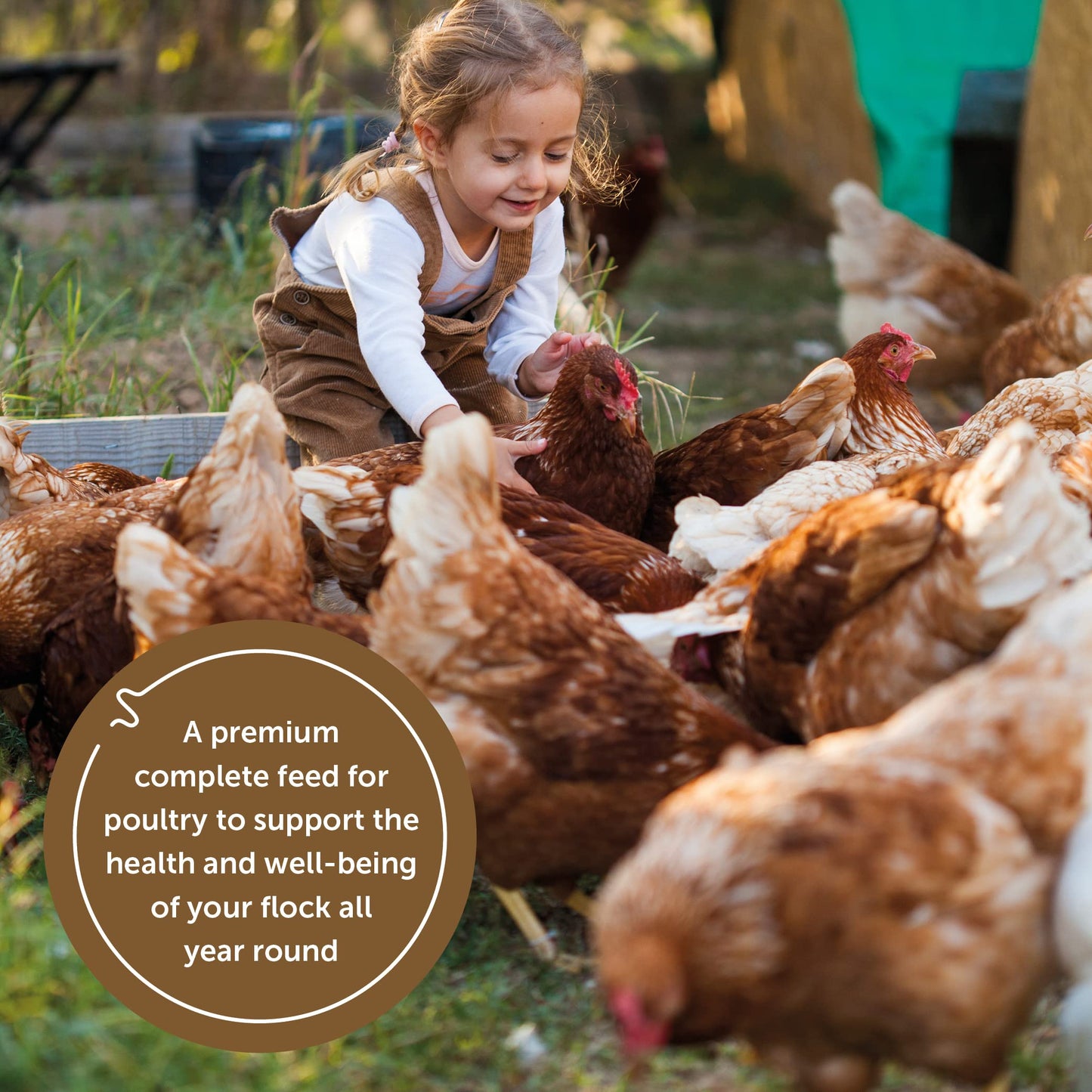 Copdock Mill Range Layers Pellets with Verm-X Chicken Feed 20kg - Premium Quality Complete Feed for Poultry - 100% Natural Mix to Aid Digestion and Protect Against Intestinal Problems