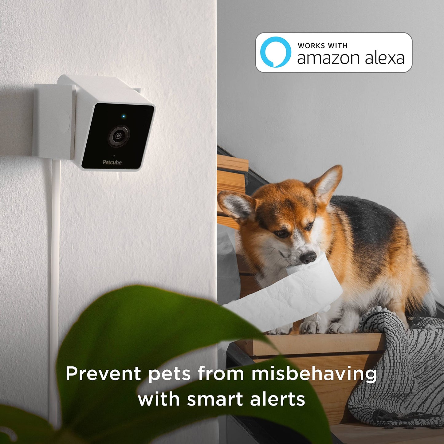 Petcube Cam Indoor Home Security Camera with 1080p HD Video, Two-Way Audio, Motion Detection, and Phone App, Night Vision Wi-Fi Camera for Apartment Security, Video Baby Monitor