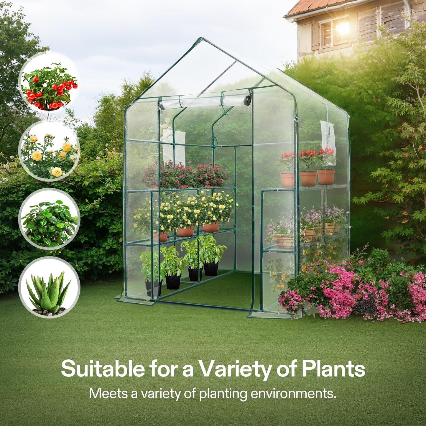 VIVOSUN 57x57x77-Inch Transparent Mini Walk-in Green House with Window and Anchor, Plant Garden Hot House 2 Tiers 8 Shelves, 4.7 x 4.7 x 6.4 FT