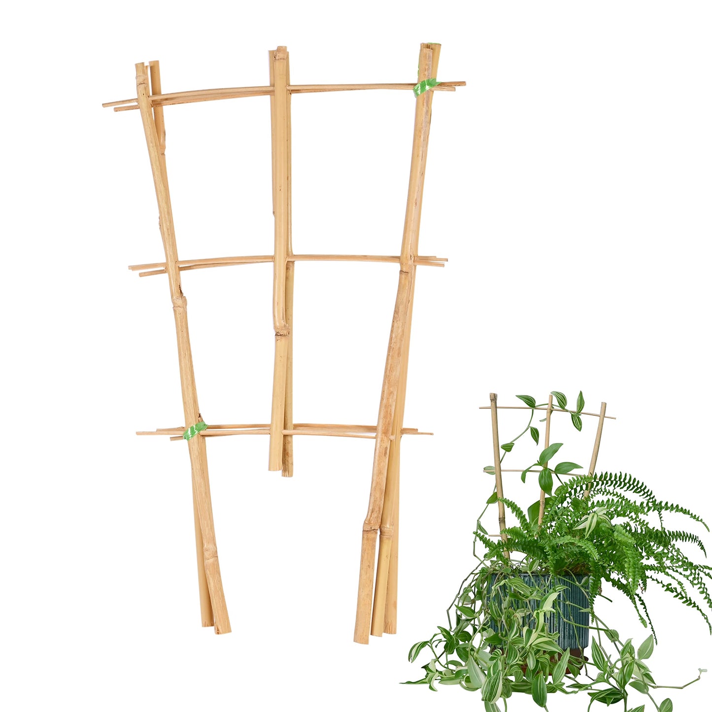 Natural Bamboo Trellis 15 Inches for Climbing Plants, Bamboo Trellis Potted Plant - 3 Pack