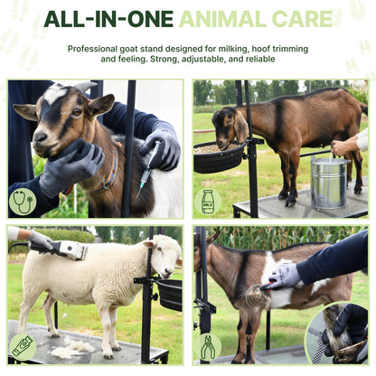 Goatzy Goat Stand with Adjustable Headpiece & Legs, Goat Milking Stand with Feeder, Rails & Wheels, Stanchion for Grooming & Hoof Trimming, Sheep Stand for Shearing Heavy-Duty Steel Platform, Black