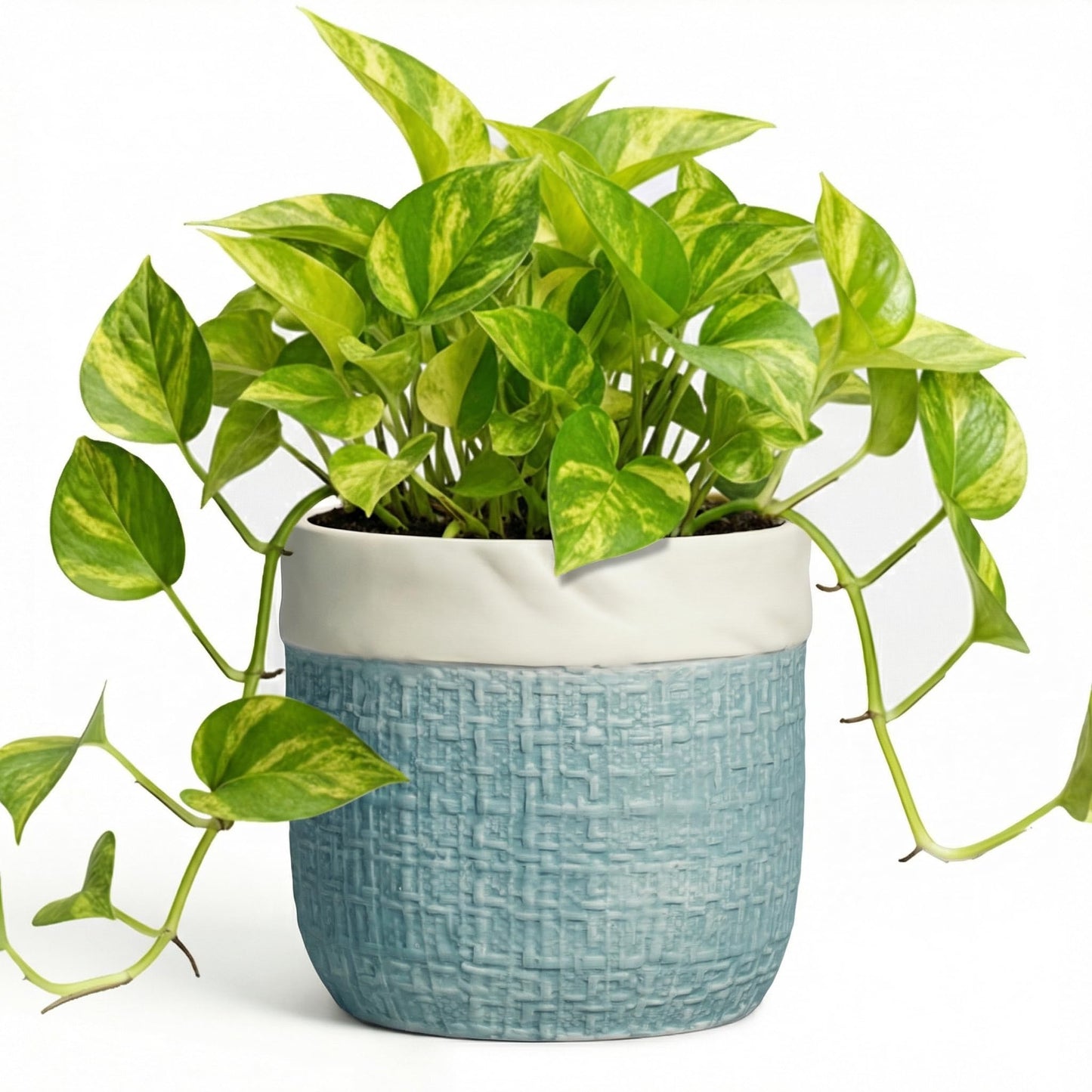Teagas Ceramic Pots for Plants - 6 Inch Plant Pot for Indoor Succulent Plants, Round Planters with Drainage Hole, Decorative Flower Pots, Garden House Room Decor, Gardening Gifts for Women, Blue