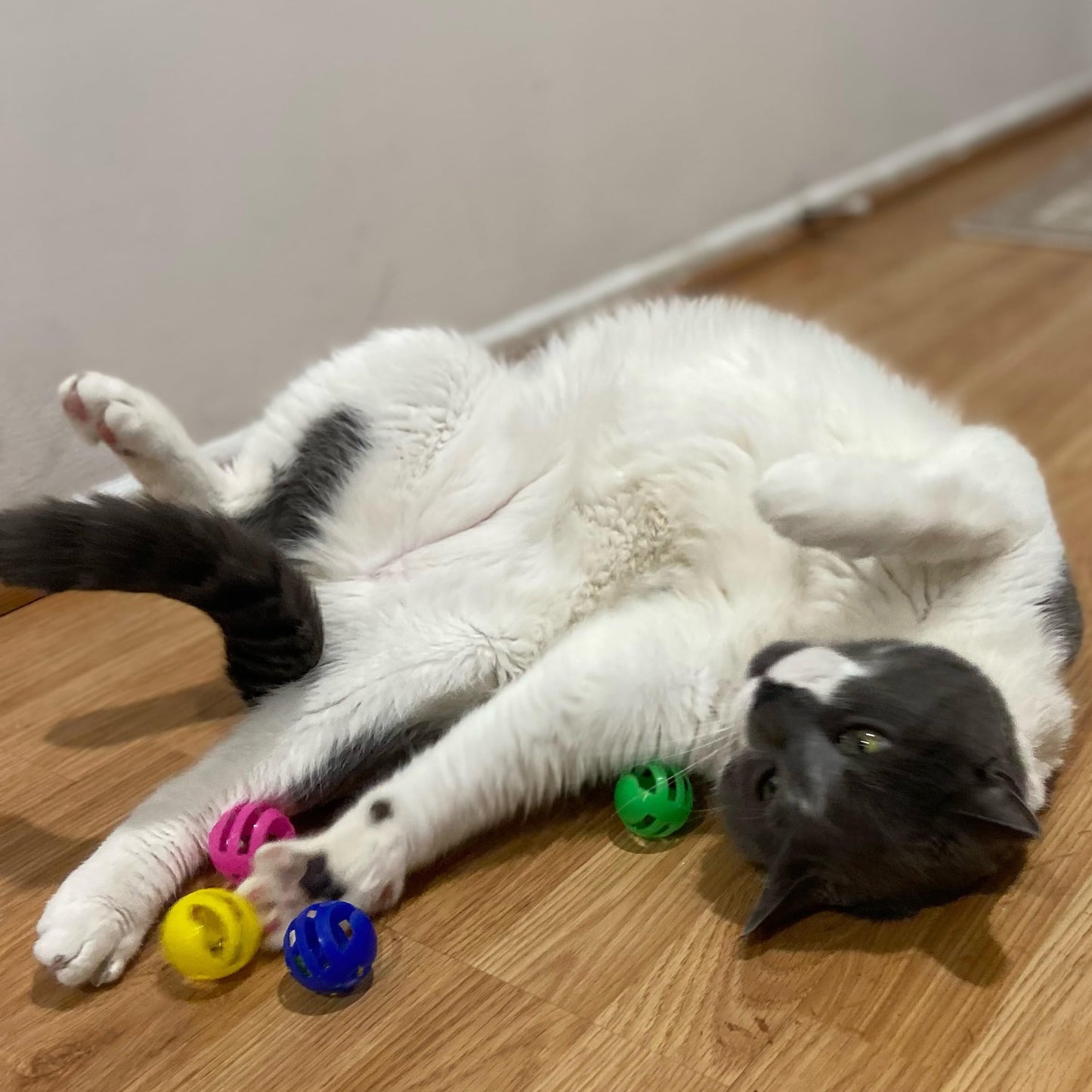 SPOT Slotted Balls Cat Toy - Interactive Cat Toys for Indoor Cats to Chase, Hunt and Stimulate - Jingle Bell Inside for Sound When Batted Around - Safe and Non-Toxic - 1.5" Assorted 4-Pack