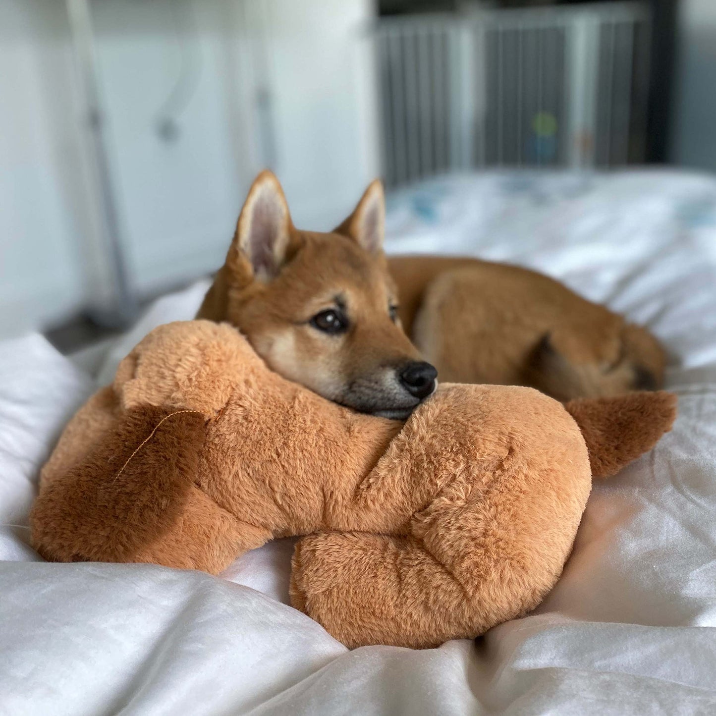 Original Snuggle Puppy Toy, Heartbeat Toy for Puppy, Dog Toys for Anxiety Relief, Calming Aid, Dog Heartbeat Toys for Behavioral Training in Biscuit
