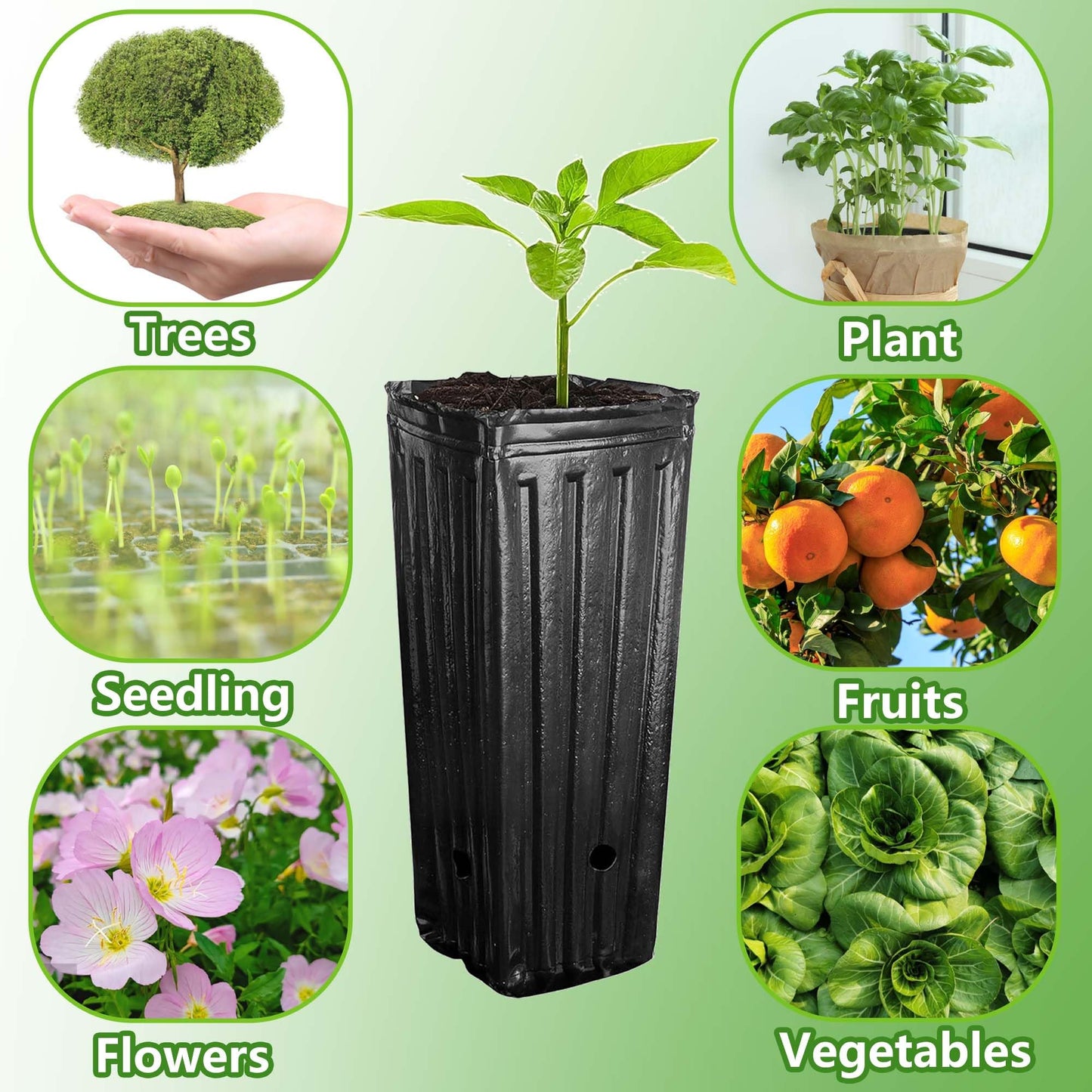 RunNico 50pcs Plastic Deep Plant Nursery Pots,11.8”Tall Tree Pots,Black Deep Seedling Container Pots with Drainage Holes for Indoor Outdoor Gardening (3.9" Wx11.8 H)