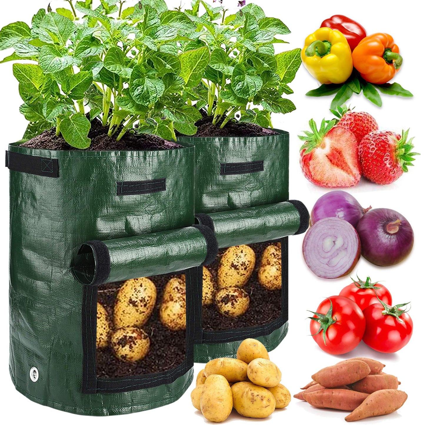 JJGoo 2 Pack 10 Gallon Garden Potato Grow Bags with Flap and Handles Aeration Fabric Planter Pots, Heavy Duty Potato Planters Garden Planting Bags for Onion, Fruits, Tomato, Carrot (Green)