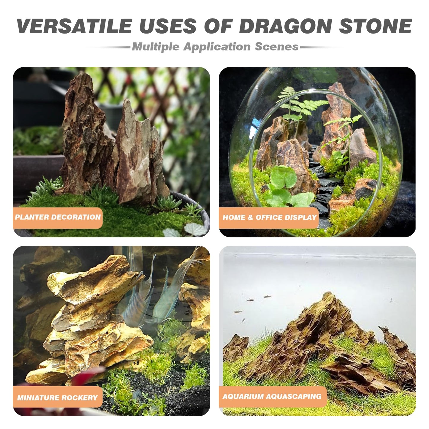 Unocho Dragon Stone Aquarium Rocks 5lb Seiryu Stone for Aquariums Landscaping Model Fish Tanks Terrariums Vivariums Paludarium Amphibian Enclosures(2-4 inches)
