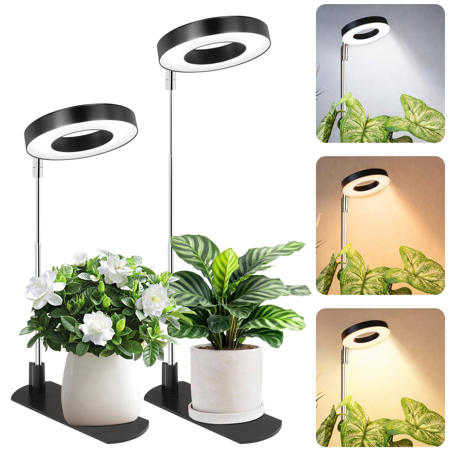 LBW Grow Light for Indoor Plants, Full Spectrum Halo Plant Grow Light with Base, Height Adjustable Plant Lamp with Auto Timer 6/8/12/16H, 3 Color,5 Dimmable Level, for Small Plants, Black, 2 Packs