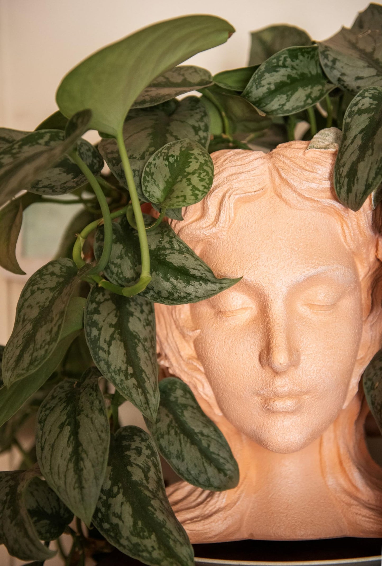 American Plant Exchange Silver Splash Pothos – Live 6-Inch Potted Satin Pothos Vine, Easy-Care Air Purifying Houseplant, Fast-Growing Indoor Plant for Home, Office & Modern Tropical Indoor Décor