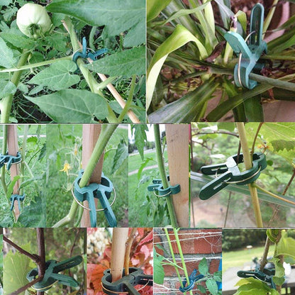 Unigift 120Pcs Re-Useable Large and Small Plant Support Clips Garden Plant Support Spring Clips Plastic Tree Shrub Tie Cane