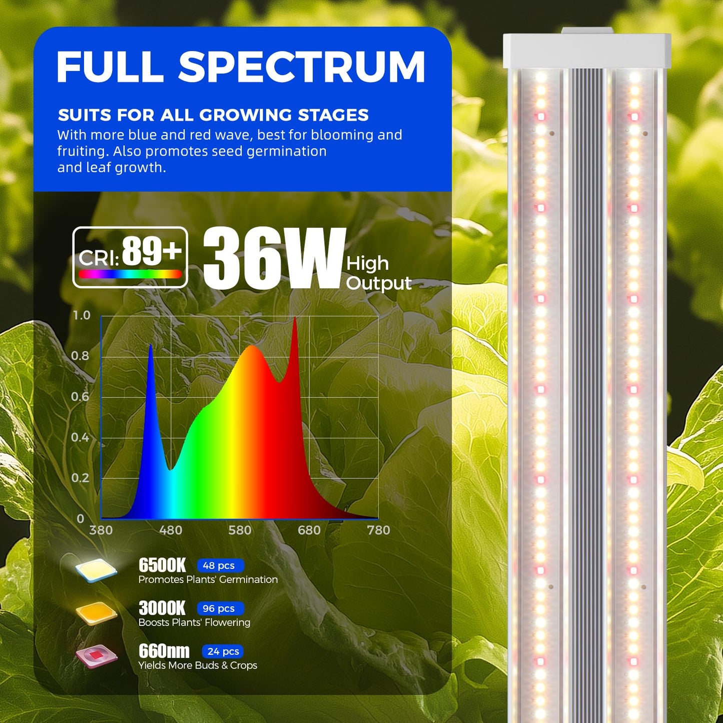 Barrina TX36 2FT LED Grow Light for Indoor Plants, 36W(200W Equivalent), High PPFD, Full Spectrum, Hanging Plant Lights for Indoor Growing, Seedlings, Vegetables, with On/Off Switch, Linkable, 1 Pack