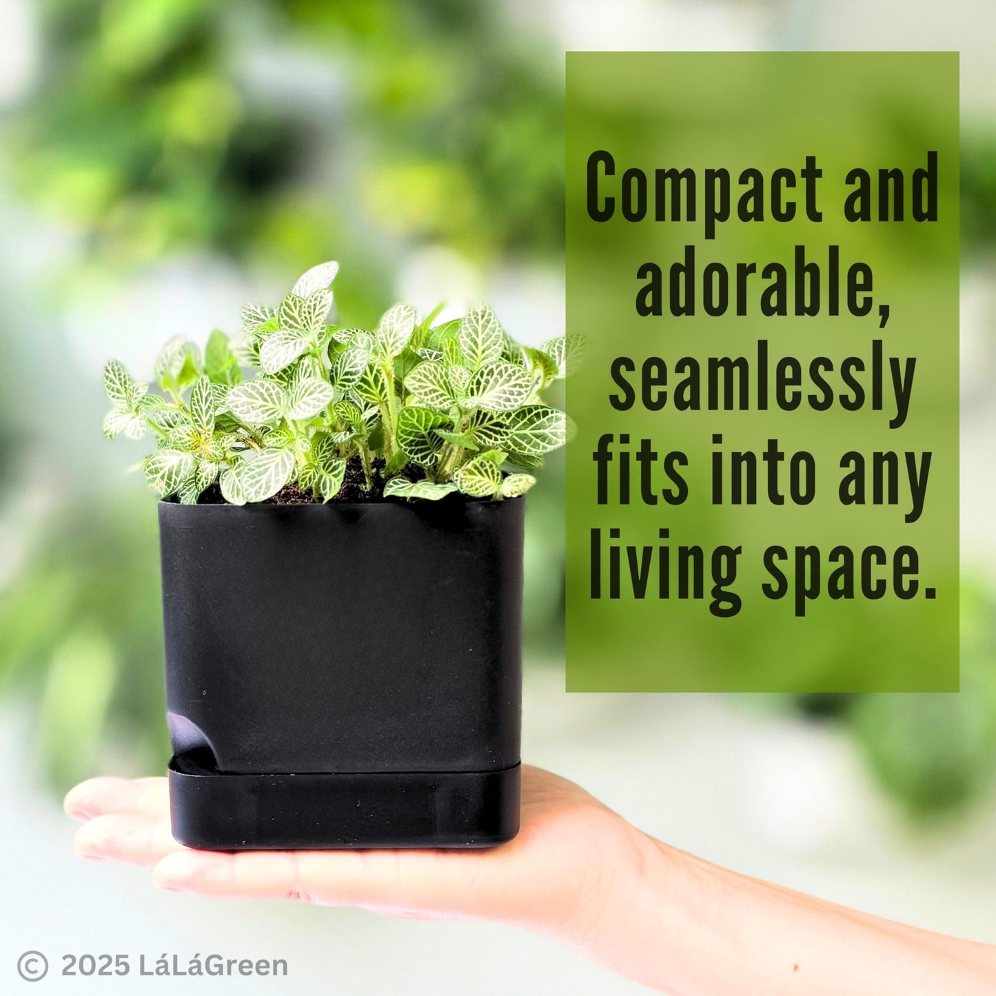 LaLaGreen Planters for Indoor Plants (7 Pack) Self-Watering System Black Window Box Planter, Rectangular Plastic Flower Boxes Herb Garden Long Windowsill Plant Pot with Drainage Modern Stylish Outdoor