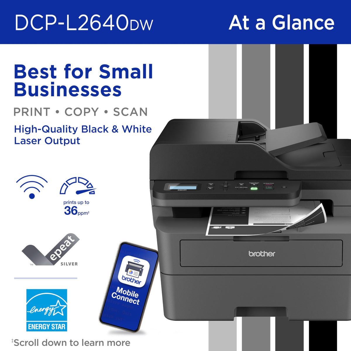 Brother DCP-L2640DW Wireless Compact Monochrome Multi-Function Laser Printer with Copy and Scan, Duplex, Mobile, Black & White | Includes Refresh Subscription Trial(1), Works with Alexa