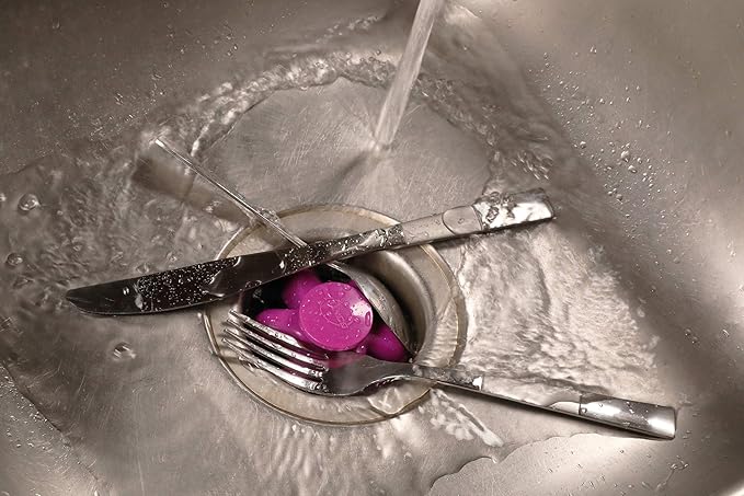 Danco 10761A Disposal Genie II Garbage Disposal Strainer and Stopper, Kitchen