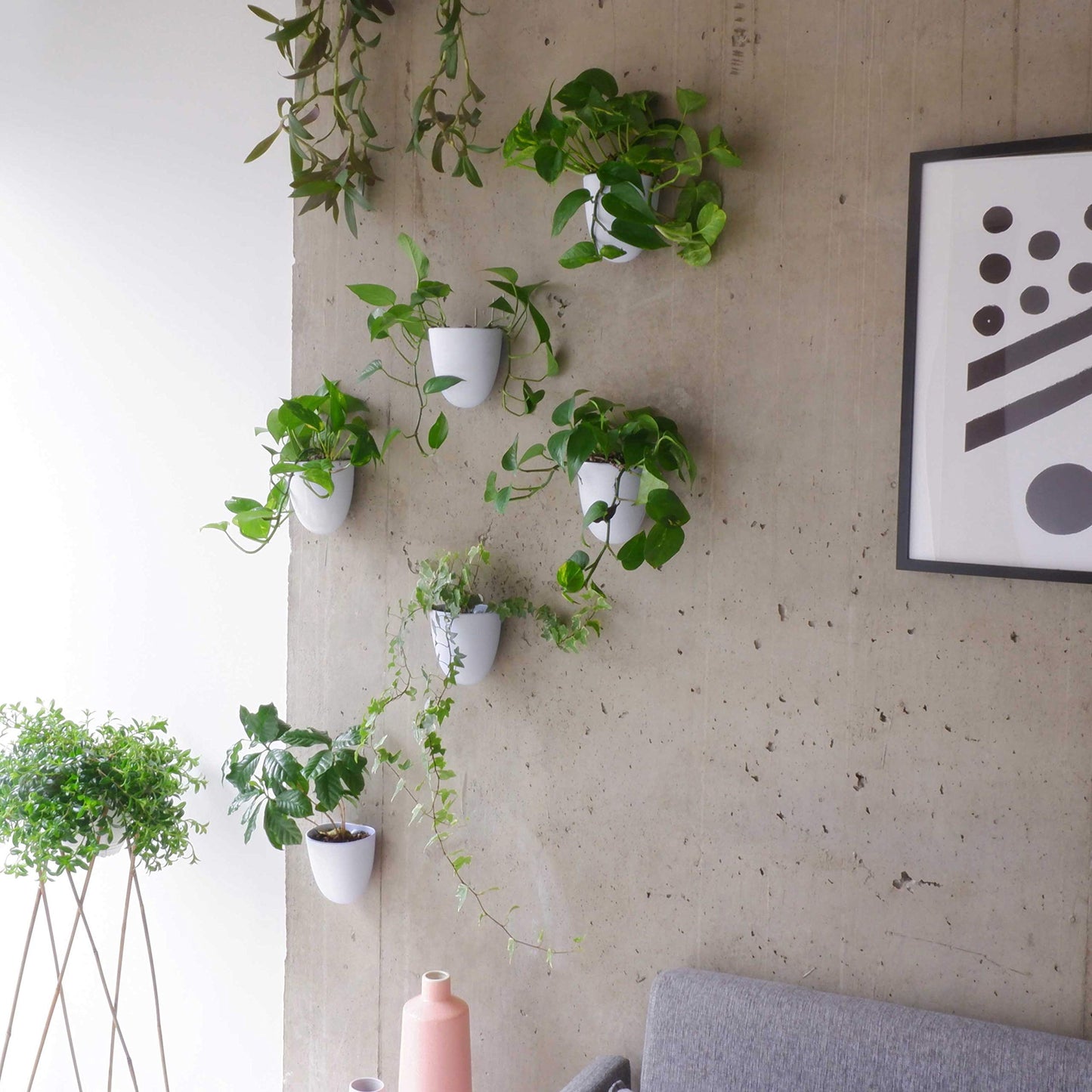 PlantPod Luxe - Self-Watering Wall Planters (Set of 6) - Easy to Water and Install - Lightweight - Design Your Own Vertical Garden - Wall Planters for Indoor Plants