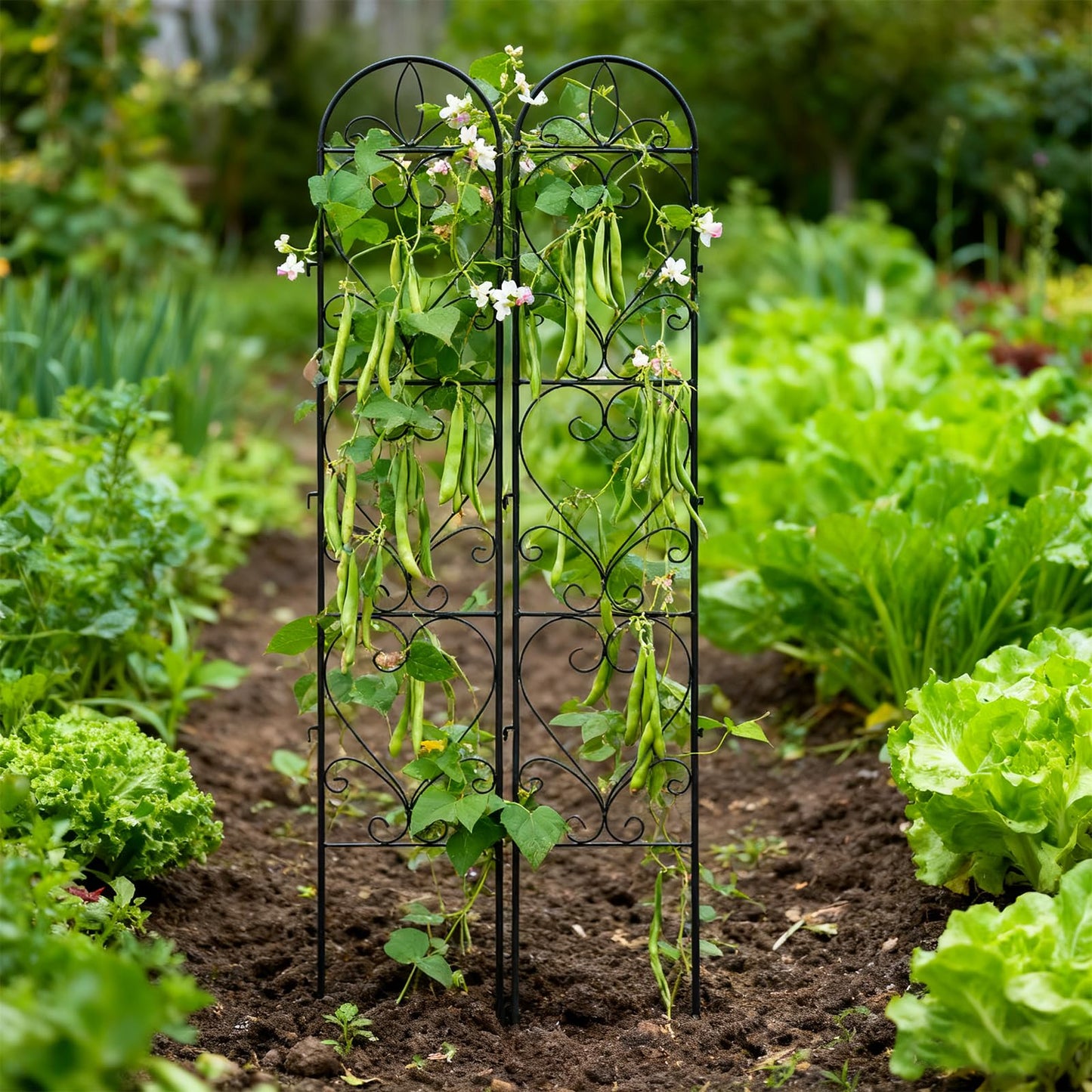 XYCCRX 2PCS Metal Garden Trellis for Climbing Plants Outdoor, Heavy-Duty Cucumber Tomato Trellis for Raised Garden Bed, Decorative Wrought Iron Trellis Arch for Wedding Party Decor