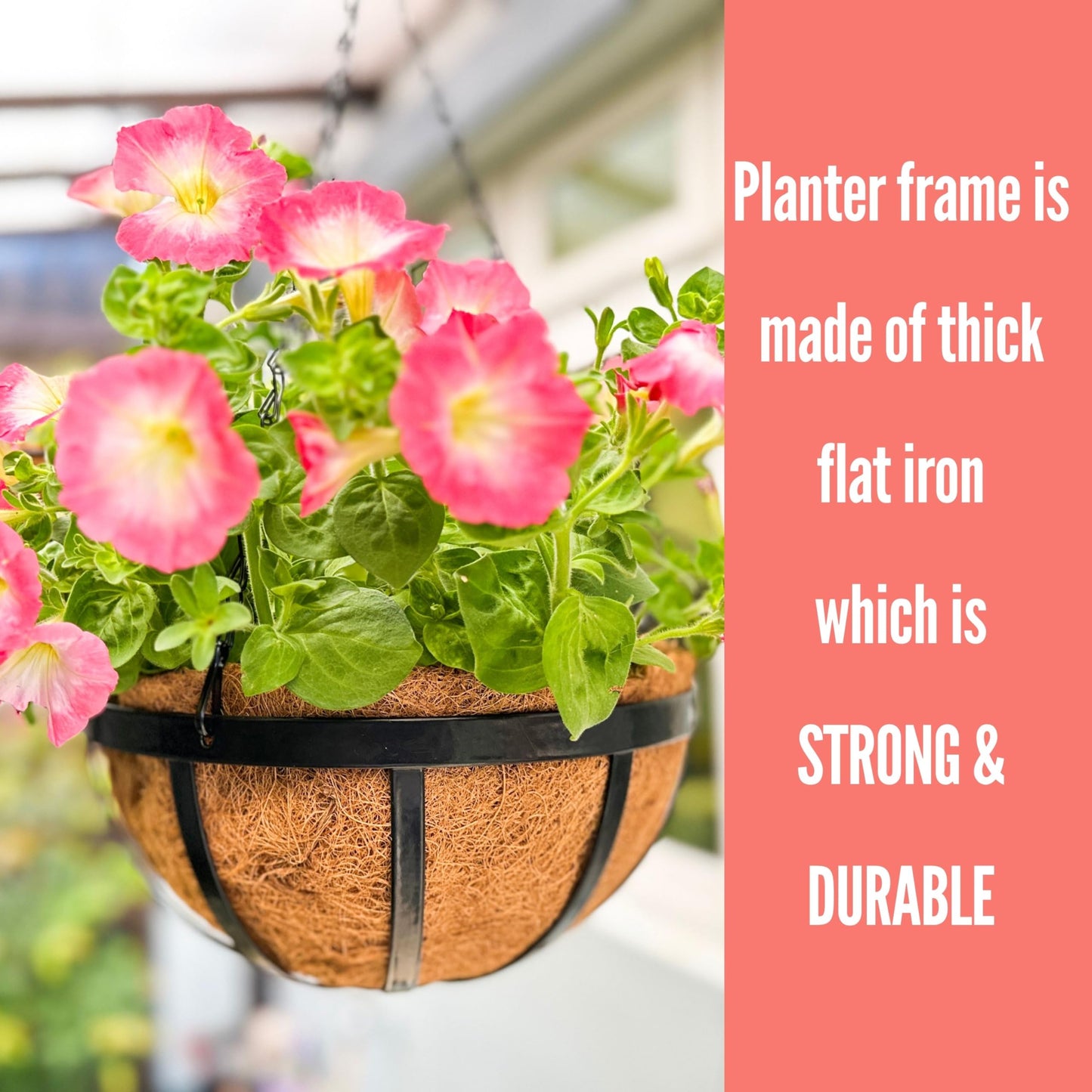 LaLaGreen Outdoor Hanging Baskets for Plants (14 Inch, 6 Pack) Large Black Hanging Planters with Coco Liner, Flat Iron Round Plant Metal Flower Pots for Deck Patio Porch Garden Balcony Outside Decor