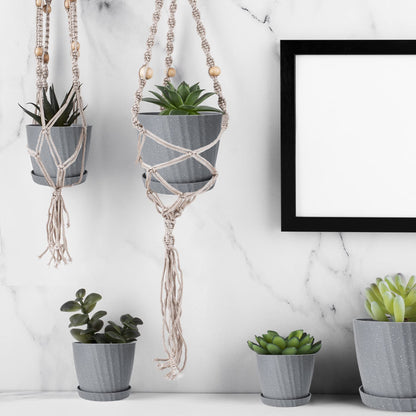 Plant Pots Indoor, 6Pack Plastic Plant Pots 19/17.5/16.5/15.5/14/11.5cm, Flower Pots Outdoor Self Watering Indoor Plant Pot with Drainage Holes and Tray, Plastic Planter for Garden House Plants(Grey)