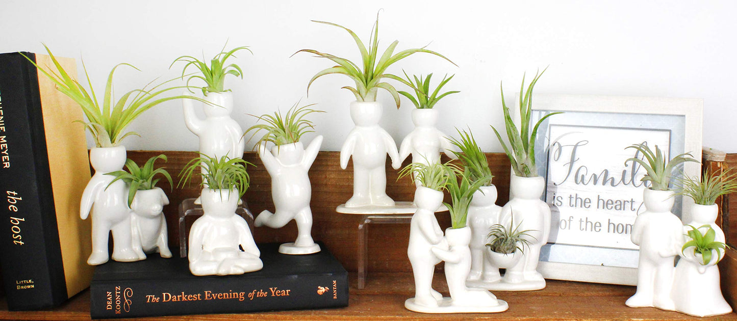 NW Wholesaler 5 Inch White Ceramic Couple Holding Hands People Shaped Planter with Two Live Tillandsia Air Plants - Potted Indoor Air Plants for Home and Office Decor