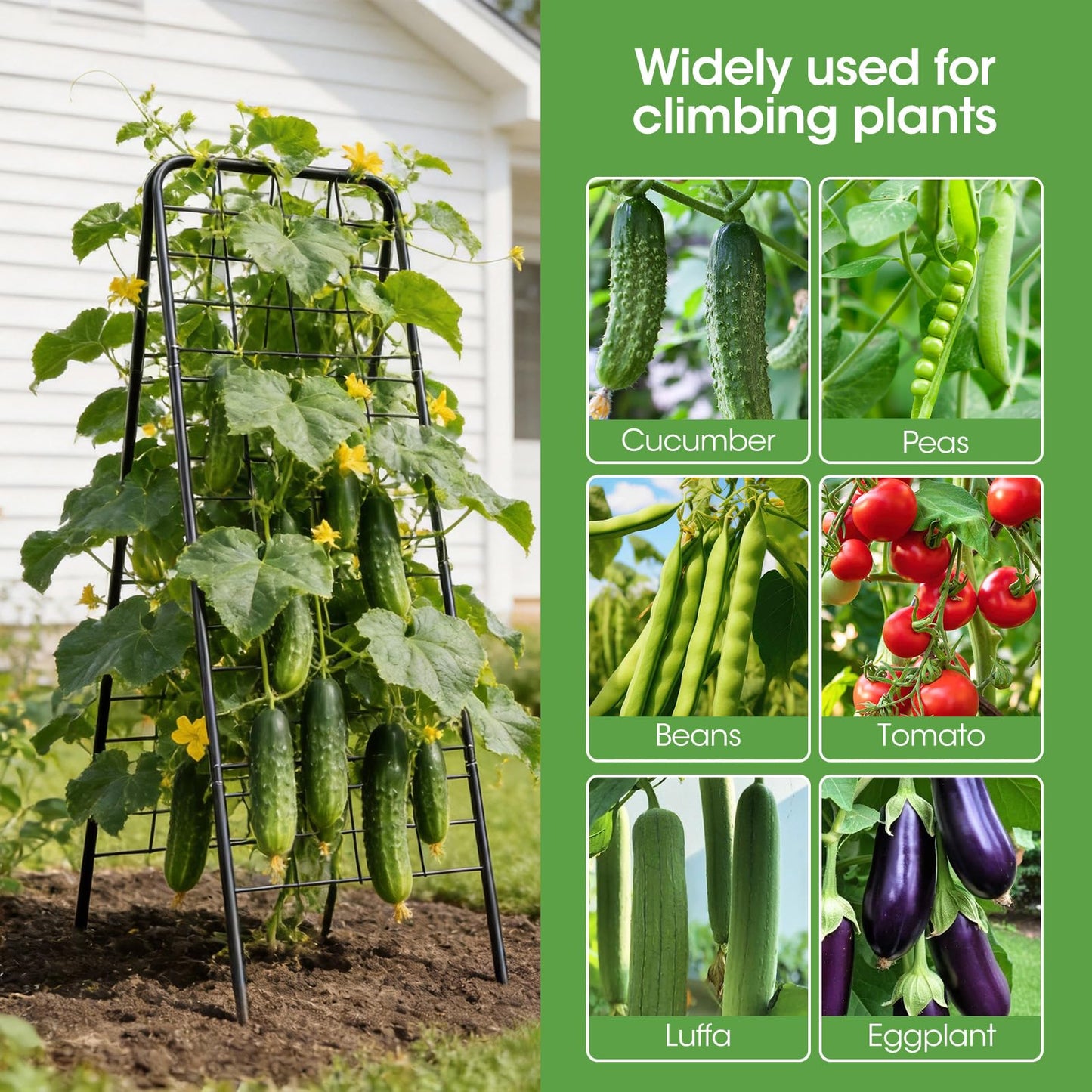 Heavy Duty Cucumber Trellis，50"x17" Adjustable A-Frame Trellis for Climbing Plants ，Metal mesh Design, Rust-Proof and UV-Resistant，Garden Trellis for Cucumber Beans and Vine Type Plants. Black &1Pcs
