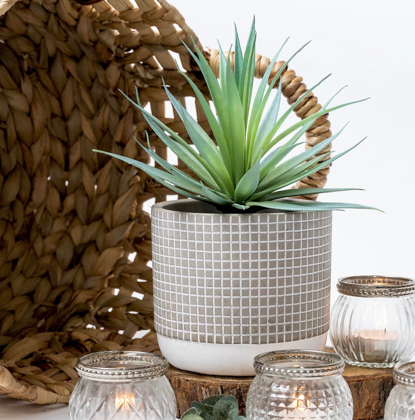 Kurrajong Farmhouse 8" high Artificial Plant in Pot - Small Faux Plant for Desk, Bathroom, Kitchen, Shelf & Coffee Table - Realistic Indoor Plant for Home Decor