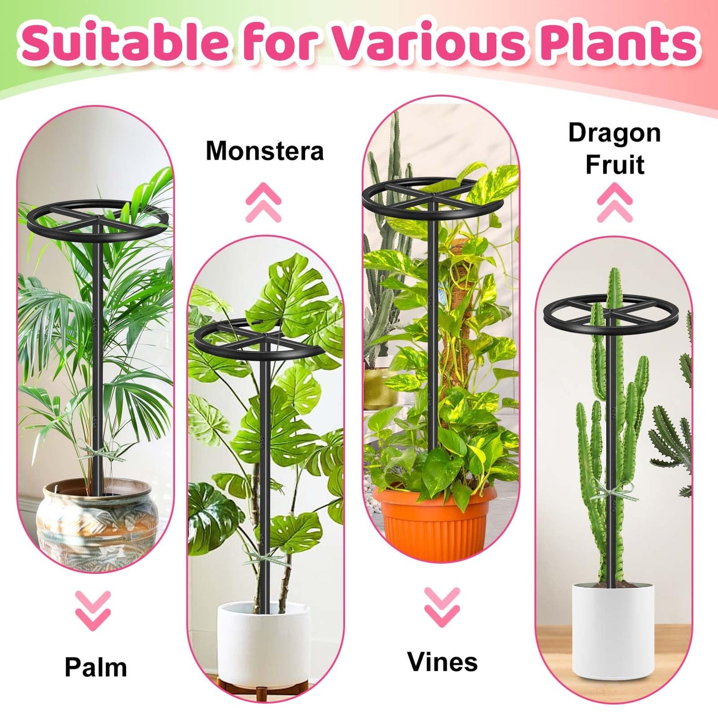 ODSNANIE Metal Dragon Fruit Trellis, Adjustable Durable Dragon Fruit Plant Trellis Vertical Indoor Support Frame for Climbing Plants Trees Cactus Garden Outdoor Potted Support,1 Pcs