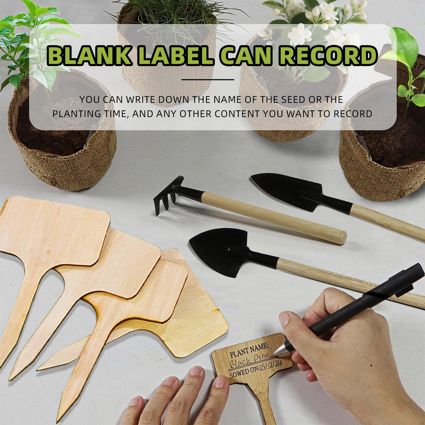 Premium Bonsai Kit,Complete Bonsai Starter Kit with Wooden Gift Box,repotting mat, Burlap Pots & Gardening Tools, DIY Bonsai Plant Set for Adults & Beginners (Seeds Excluded)Birthday Thanksgiving gift