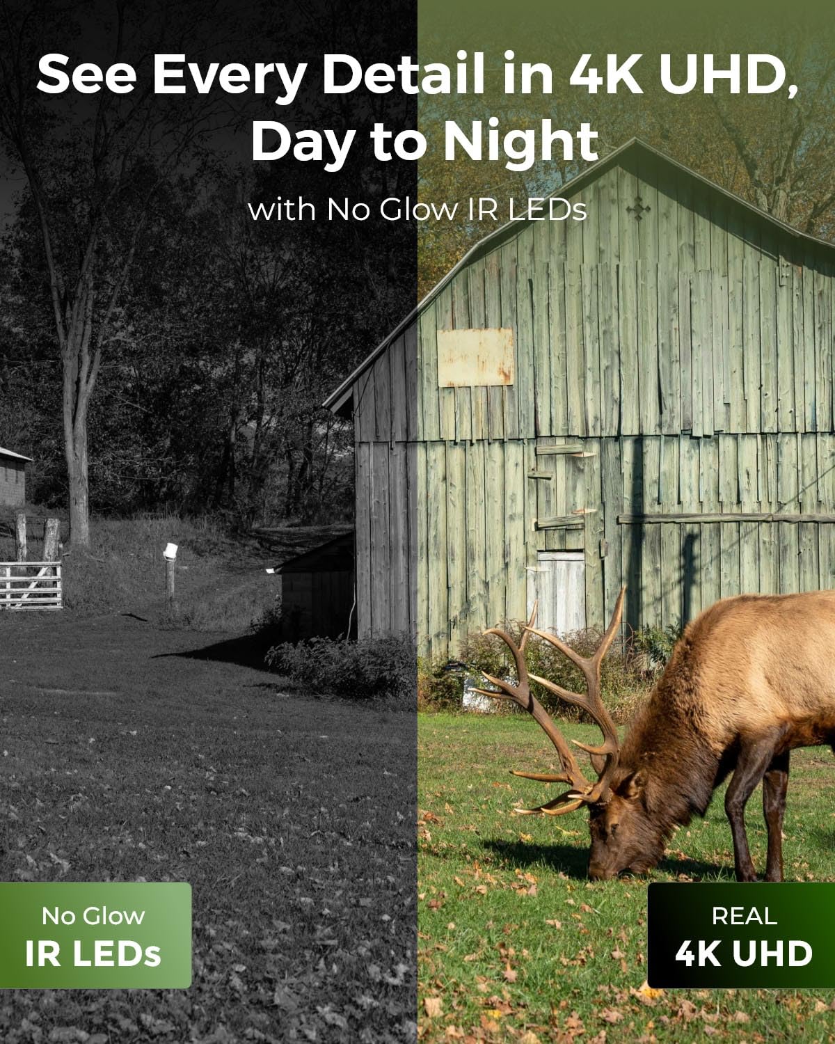 REOLINK 4K Cellular Trail Camera, 3G/4G LTE 360° True Security Camera Wireless Outdoor, Animal Recognition, No-Glow IR, Smart Motion Activated, 32GB SD+SIM Card Included, Go Ranger PT+Solar Panel 2