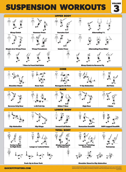 Palace Learning 3 Pack Suspension Workout Posters - Volume 1, 2 & 3 - Exercise Charts (LAMINATED, 18" x 24")