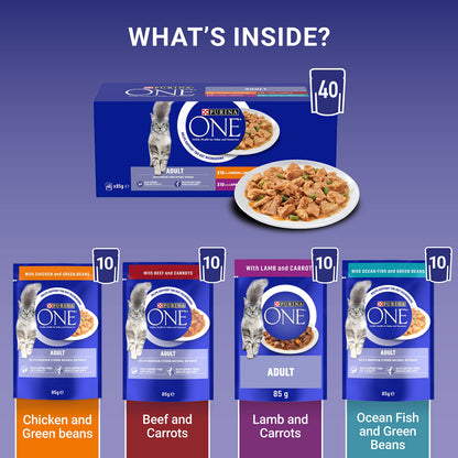 PURINA ONE Adult Cat Food Mini Fillets in Gravy 40 x 85g