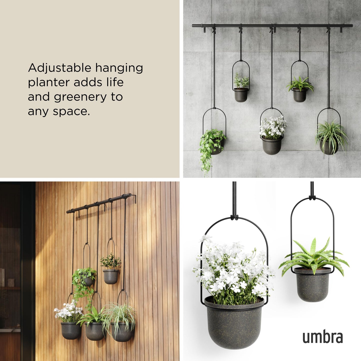 Umbra Triflora Hanging Planter for Window, Indoor Herb Garden, Set of 5, Black