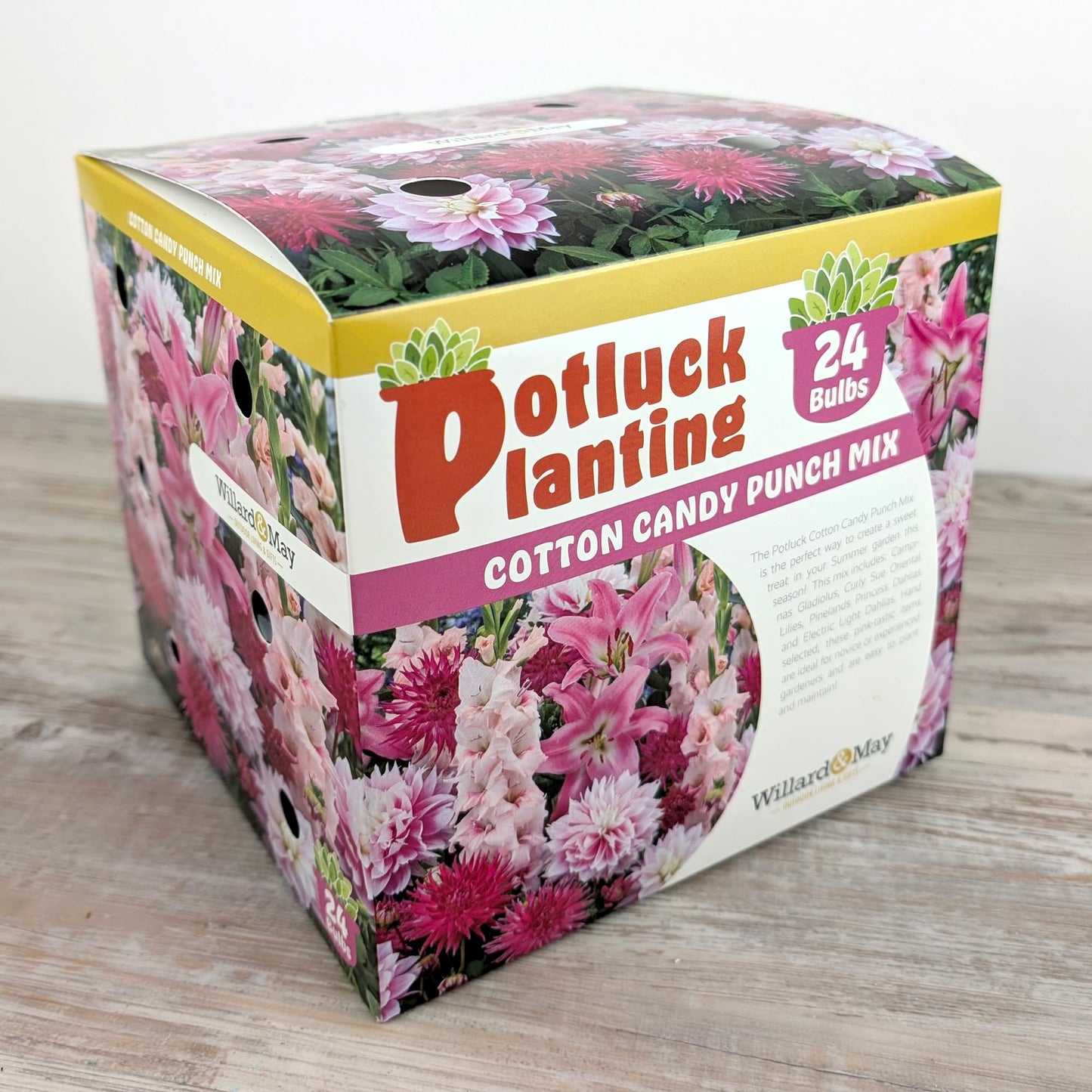 All-in-One Flower Bulb Garden Kit - Cotton Candy Punch Mix - 24 Flower Bulbs per Box - Dahlias, Gladiolus, Lilies - Fragrant - Naturalizing - Live Outdoor Potluck Planting - Easy to Plant Flowers