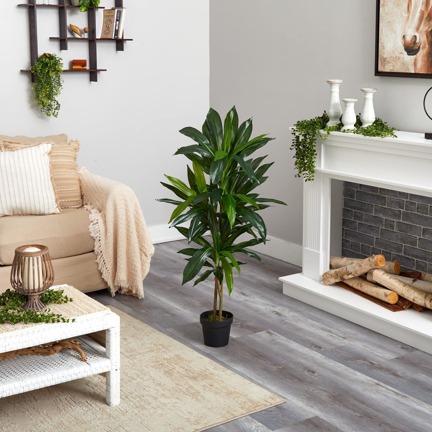 Nearly Natural 48in Artificial Dracaena with Real Touch Leaves and Multi Tonal Trunks, Large Indoor Silk Plant with Pot, Maintenance Free For Living Room And Home Office Decor
