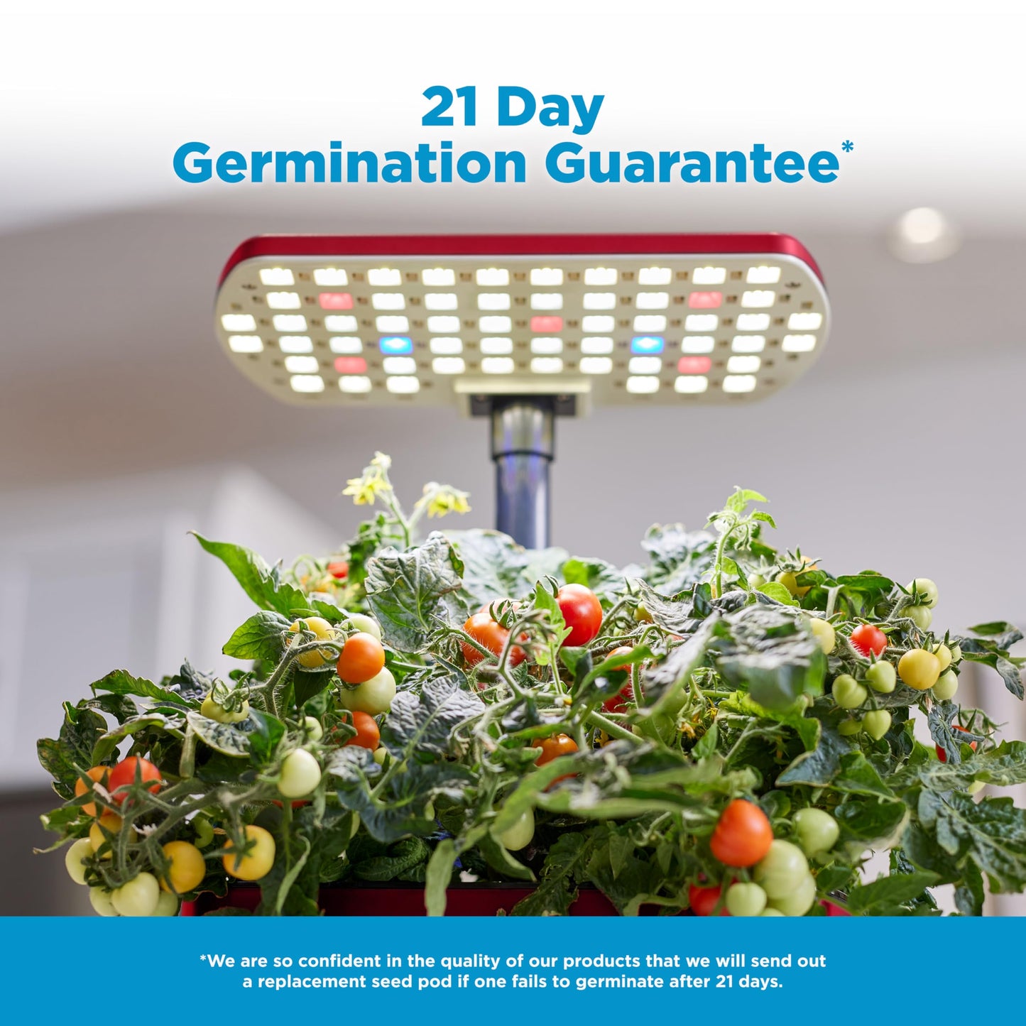 AeroGarden Harvest Lite in Cherry Red, Soil-Free Indoor Hydroponic Garden with LED Grow Light for Year-Round Gardening of up to 6 Herbs and Vegetables