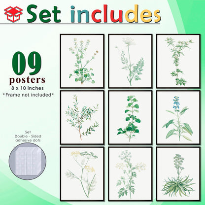 LANCHI95 botanical wall art - Minimalist Aesthetic Rose Collection, Bedroom Wall Art, Sage Green Eucalyptus Leaf Prints for Office (9pcs- 8x10in- UNFRAMED) (Botanical)