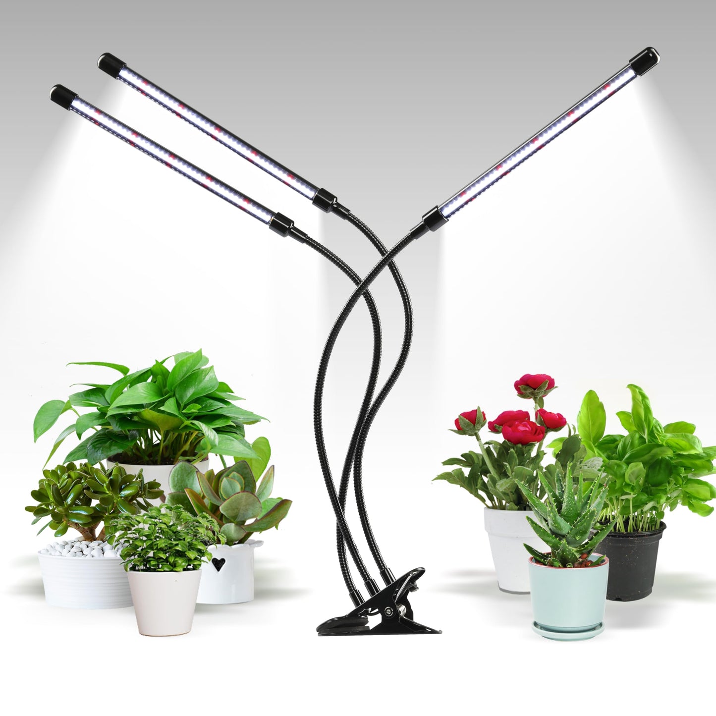 iPower LED Grow Lights for Indoor Plants, 6000K Full Spectrum Growing Lamp with White Red LEDs, 5-Level Dimmable, Auto On Off with 4/8/12H Timer, 3 Tubes