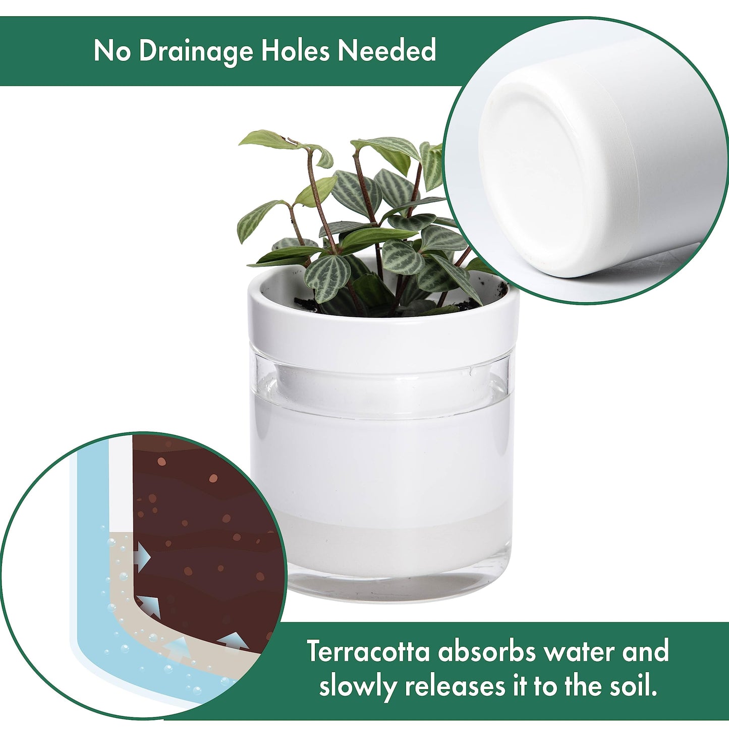 Phoenix Vine 4 Inch Self Watering Planter, White Terracotta Clay Pot with Glass Reservoir for Indoor Plants, Herbs, Flowers, Set of 1, 52-B-E-1