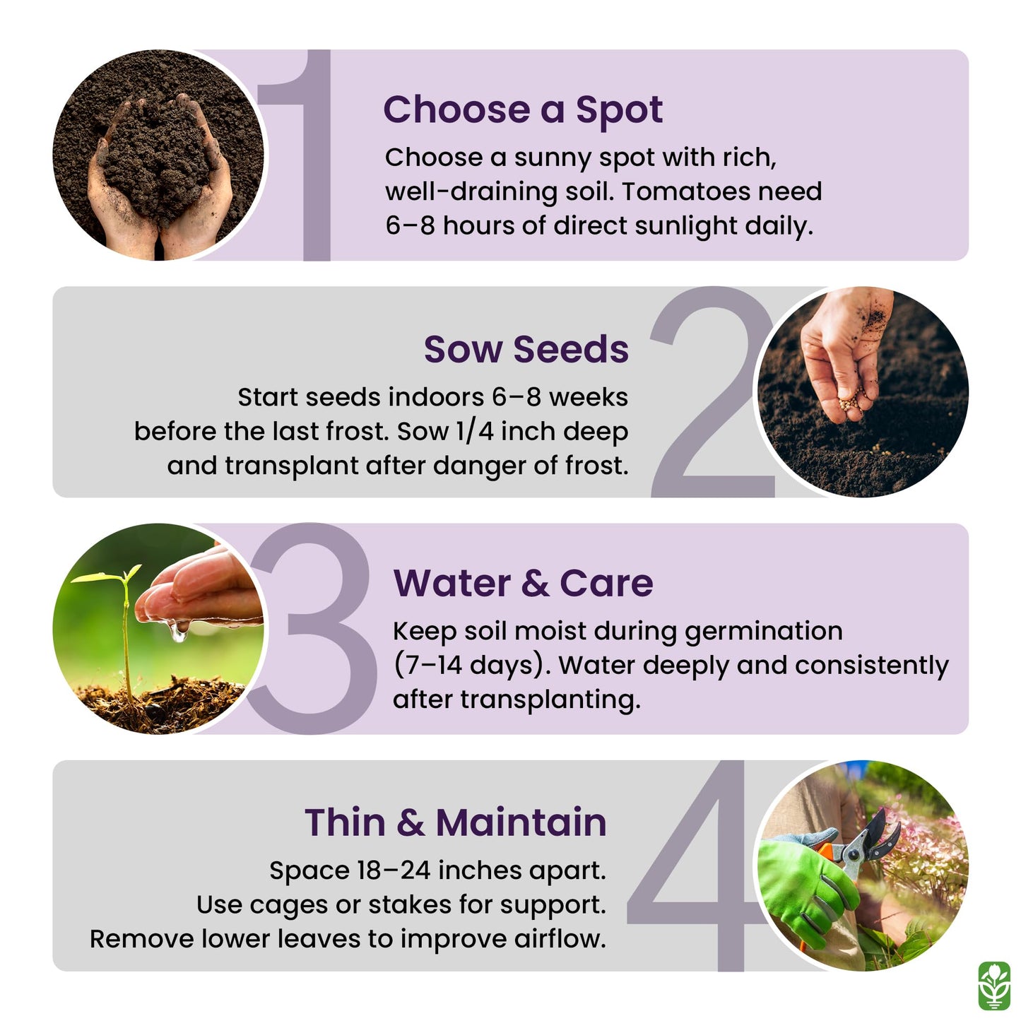 Bonny Best Tomato Seeds for Planting – Heirloom, Large & Juicy – One of The Most Delicious Tomatoes for Home Growing – Vegetable Seeds for Planting - Grown in The USA