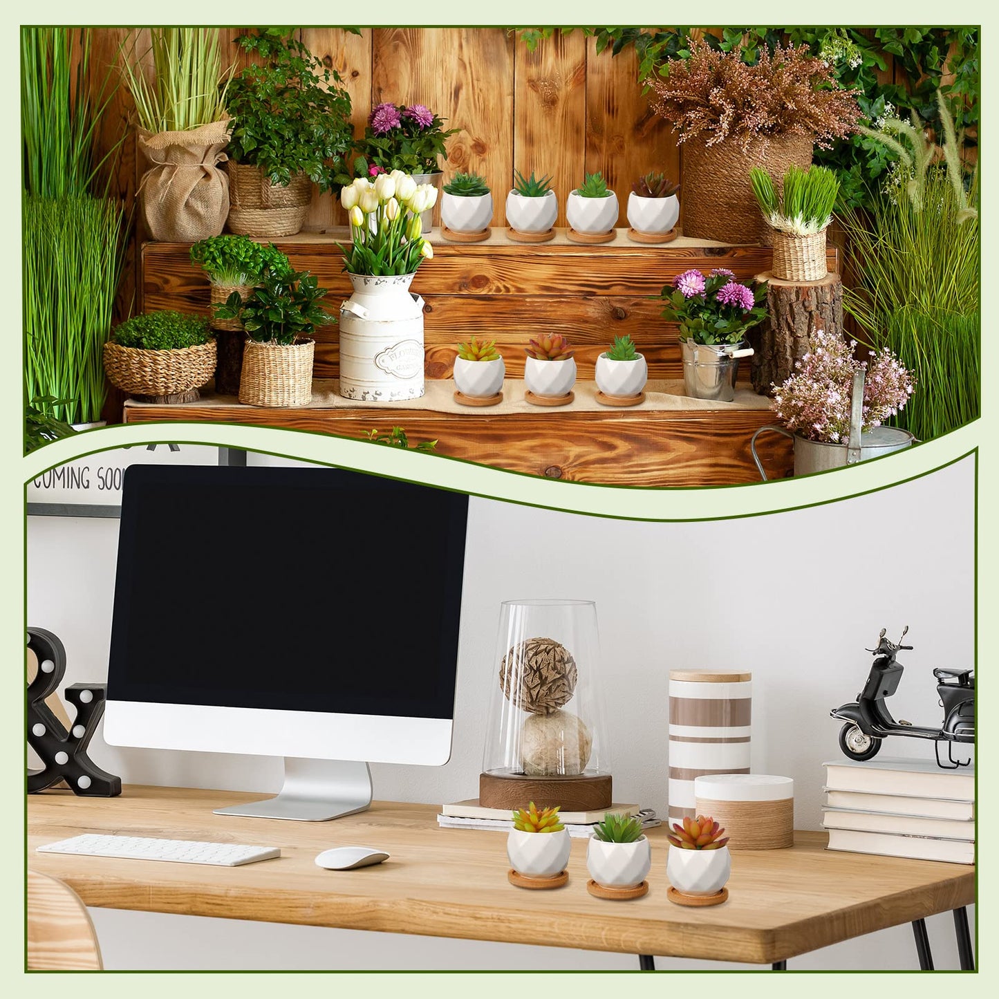 Gerrii 24 Pcs Succulent Pots Mini White Ceramic Flower Planter Pot Succulent Planters with Wooden Trays and Drainage Holes for Plants Cactus Home Office Decoration, Plants Not Included(Diamond)