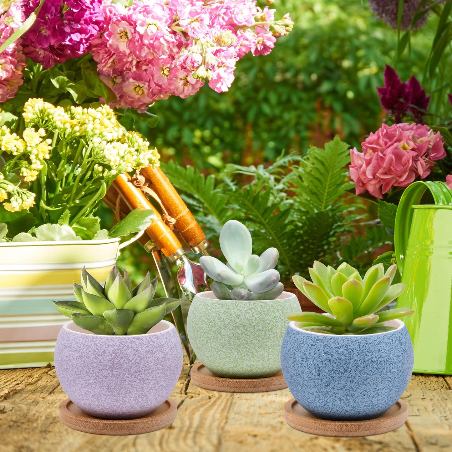6 Pack Ceramic Succulent Pots with Drainage – Small Round Planters for Indoor Plants & Cactus, Mini Flower Pots with Bamboo Trays, Desk & Home Décor, Gift for Plant Lovers, Office, Balcony, Garden