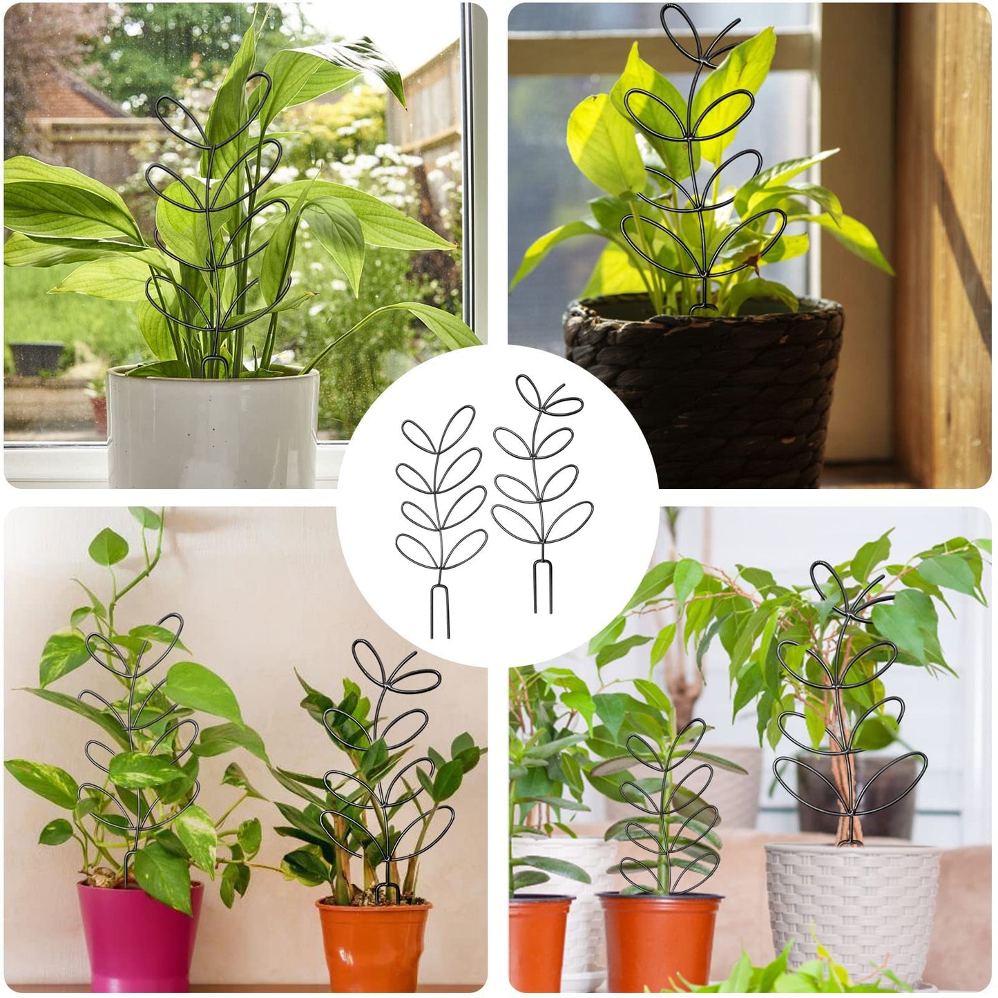 4 Pcs Small Metal Trellis for Potted Plants,Indoor Plants Trellis for Climbing,Leaf Shapes Mini Plant Trellis Support Stake House Plant Trellis for Garden Potted, Hoya, Pothos, Flower, Monstera(Black)