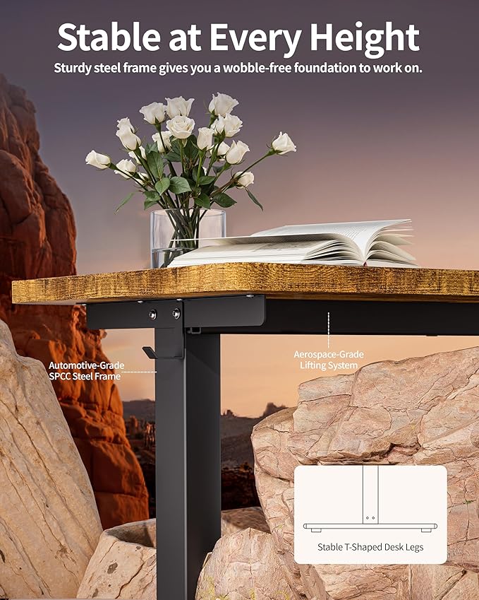 BIZUM Standing Desk Electric Adjustable Computer Desk-Stand up Desk Office