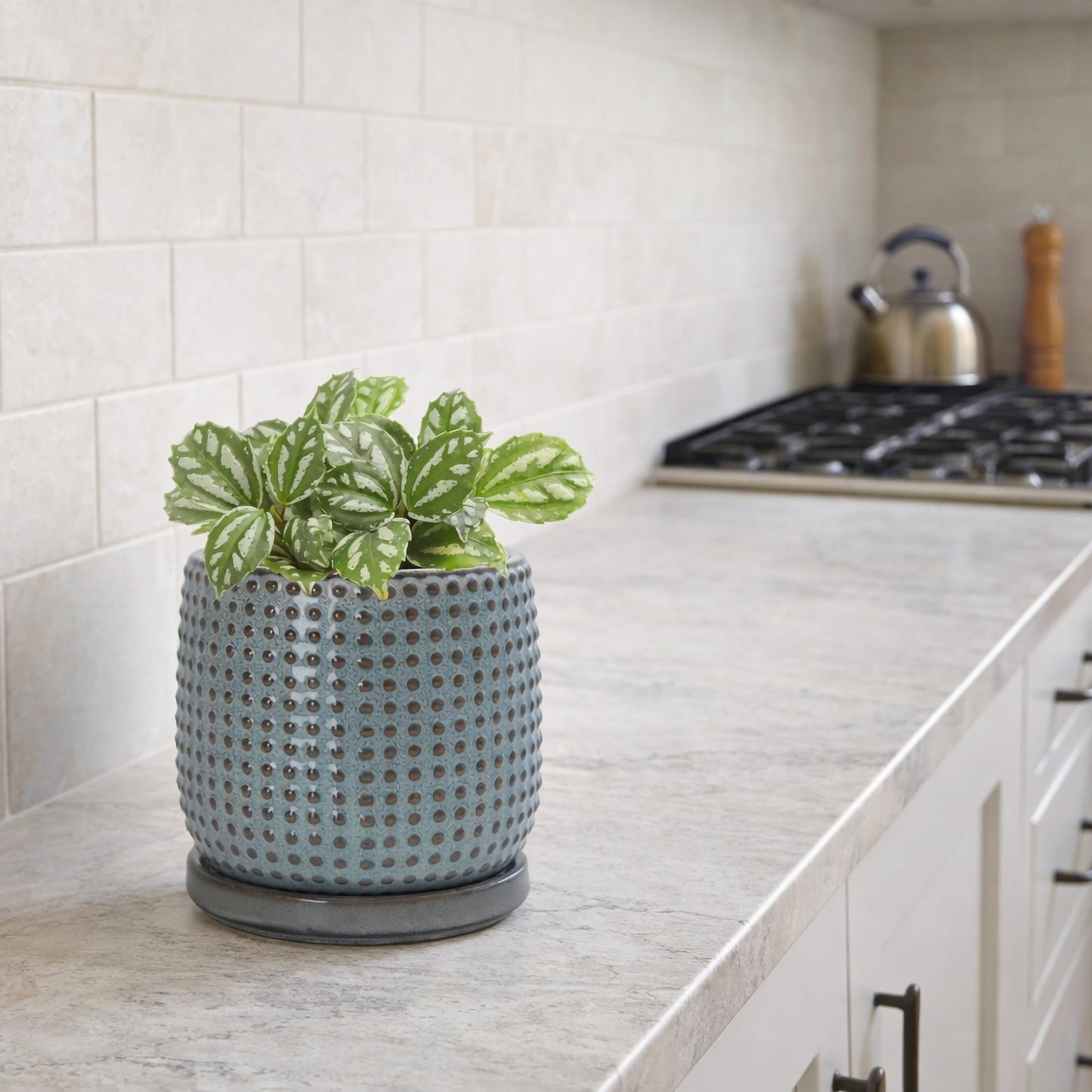D'vine Dev 4 Inch Ceramic Beaded Stoneware Planter Pot - Flower Pot with Drainage Holes and Saucers for Indoor Succulent Plants or Flowers, Graphite Blue, 27-C-Z-9